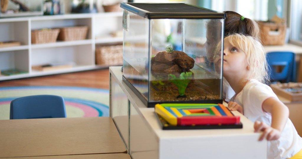 Shorecrest-Prep-Curiosity-Kid-by-Prakash-Nair